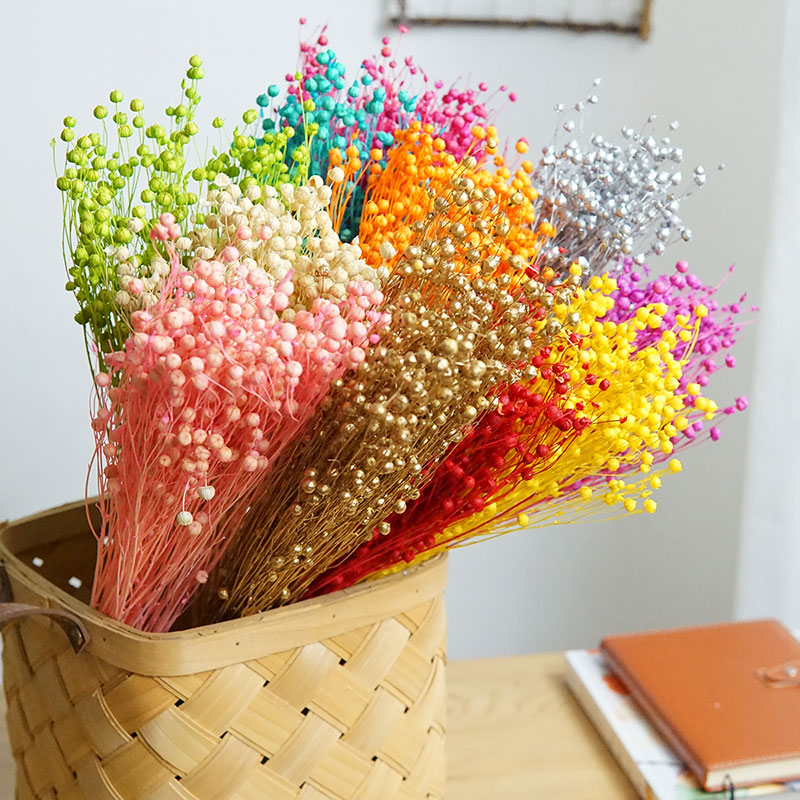 35g/Preserved Ormosia Hosiei N - Dried Flower Pressed ulasan dan harga