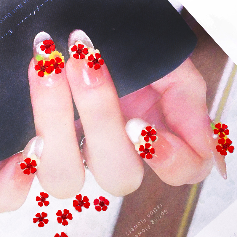 96Pcs Mini 1.5cm Natural Press - Dried Flower Pressed ulasan dan harga