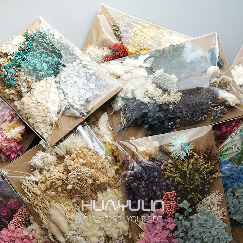 1 Pack Artificial Plants Dried - Dried Flower Pressed ulasan dan harga