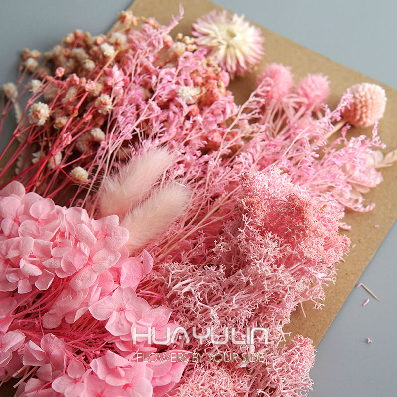 1 Pack Artificial Plants Dried - Dried Flower Pressed ulasan dan harga