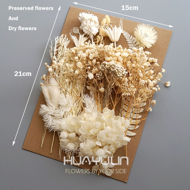 1 Pack Artificial Plants Dried - Dried Flower Pressed ulasan dan harga